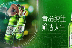 国产啤酒推荐|青岛纯生:那口“鲜活”到底怎么酿出来的?