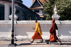 蜜月去哪旅行最合适?2026新婚夫妇出行目的地对比