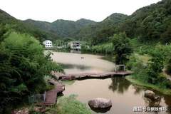 河南桐柏:淮源茗茶“十大全国奖项”背后的产业逻辑