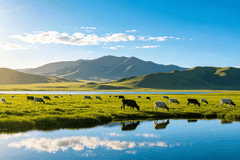 长白山华美胜地夏日玩法全解析：三大乐园+夜场盛典 惊险刺激趣味松弛各得其所