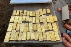 比利时18岁男生暑期打工挖下水道，挖出900万欧元金币