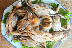 品读盘锦非遗(第39期)| 田庄台海鲜卤货制作技艺