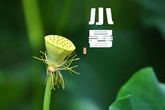 7月7日小暑要懂得忌口,少吃西瓜冷饮,多吃这4样,清热祛暑健脾