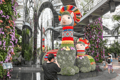 魔都眼|世界树之境美洲植物展:印加“神兽”羊驼等你打卡
