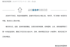 湖南隆回一桥梁发生垮塌,官方通报:2名行人落水失联,搜救工作正在全力进行中