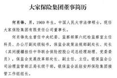 大家保险原董事长何肖锋官网简历悄然撤下,法定代表人变更为孙先亮