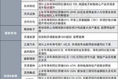 净利同比最高增长5.61倍!120亿存储芯片概念股发布半年度业绩预告|盘后公告集锦