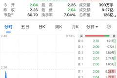 中公教育,股价大跌