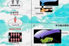 付巧妹:古人类演化研究将向更古老进军和史前更近时代延伸