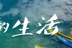 限定快乐!这个暑期,在云南当一回“捡菌人”丨有一种叫云南的生活之365天