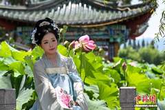 昆明大观公园夏日荷景如画