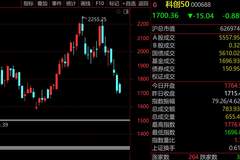 救市组合拳打响反弹第一枪，陈果：低位低估值“YYDS”迎来春天