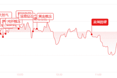 午评：三大指数分化震荡！电网设备、贵金属轮番拉升