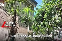 陕西宝鸡永清村一对中年夫妇雨天触电身亡，裸露铝线成致死诱因，善后事宜正推进协商中
