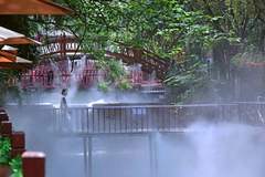 鄠邑金龙峡7月26日启动夏日避暑打卡盛典 山水仙雾交织成纳凉亮点