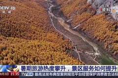 暑期景区迎来热游期 多方协同破解发展困局 亲子研学游提质有新方