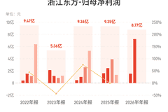 浙江东方：上半年归母净利润8.77亿元，同比增长115.47%