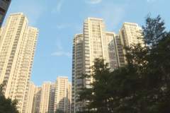 亏损8340万元，物业公司跨界炒黄金白银被套了