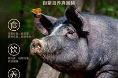 解锁“梅肉”之谜:从餐桌美味到童年记忆的全方位指南