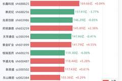 8月20日12股成交额超过百亿,包括中际旭创、长鑫科技、寒武纪、兆易创新、药明康德等