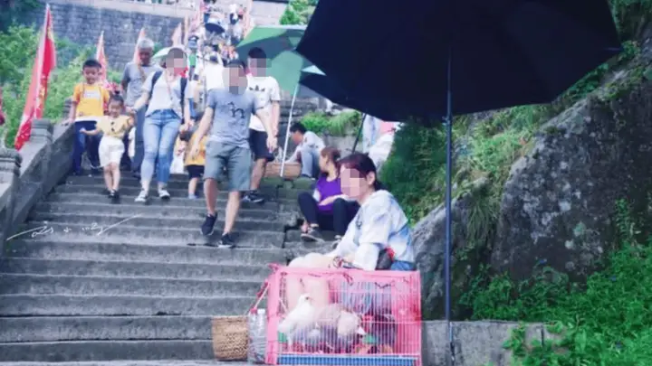 九华山作为佛教名山,“放生”却成为生意,游客:这样真的好吗?