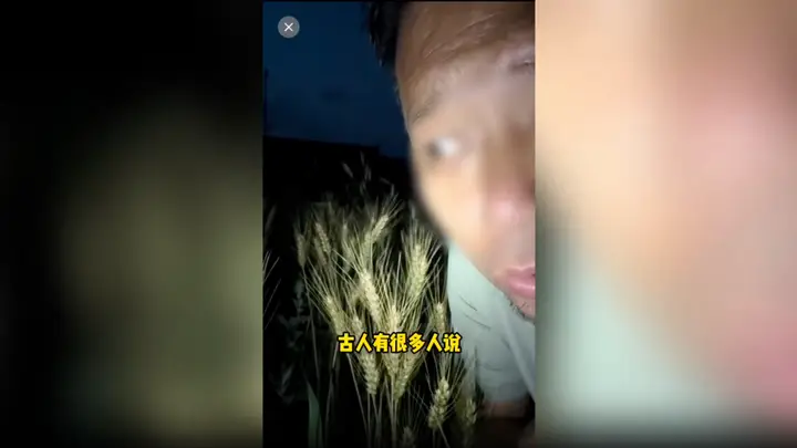 诋毁袁隆平成果的200万粉丝网红,账号被无限期封禁