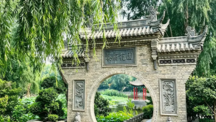 河南杞县：废弃坑塘“变身”主题公园 映日荷花“点亮”乡村振兴