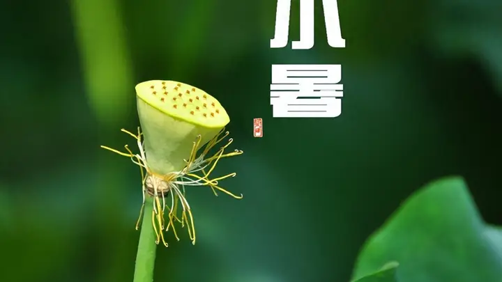 7月7日小暑要懂得忌口，少吃西瓜冷饮，多吃这4样，清热祛暑健脾