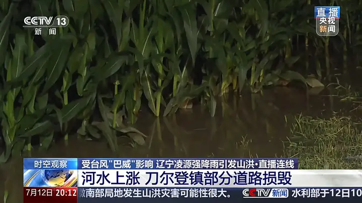 大桥被淹没、玉米泡水1米深，直击辽宁凌源强降雨现场