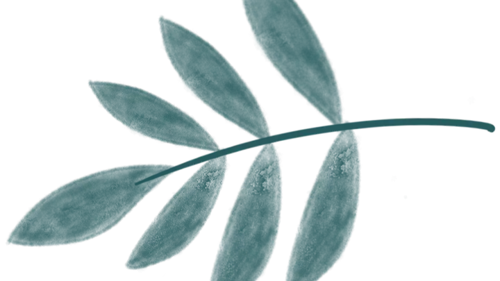 活动报道‖品四时茶宴,阅一城文脉!“早点来泰州”系列讲座收官