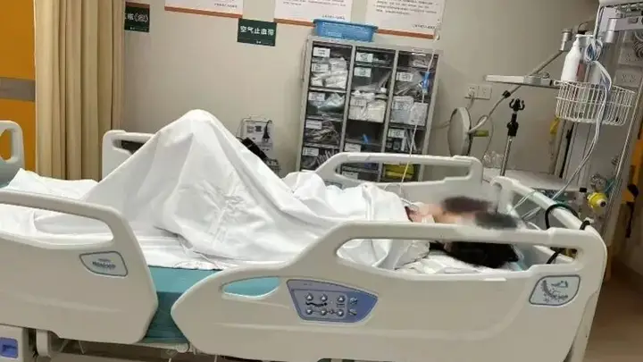 上海反虐猫志愿者轻生获救 家属将依法维权