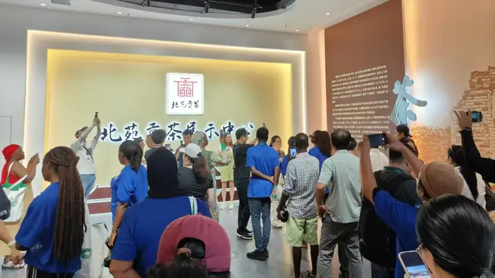 43名海外学员走进建瓯茶园 北苑贡茶凭借竹茶融合魅力走向全球