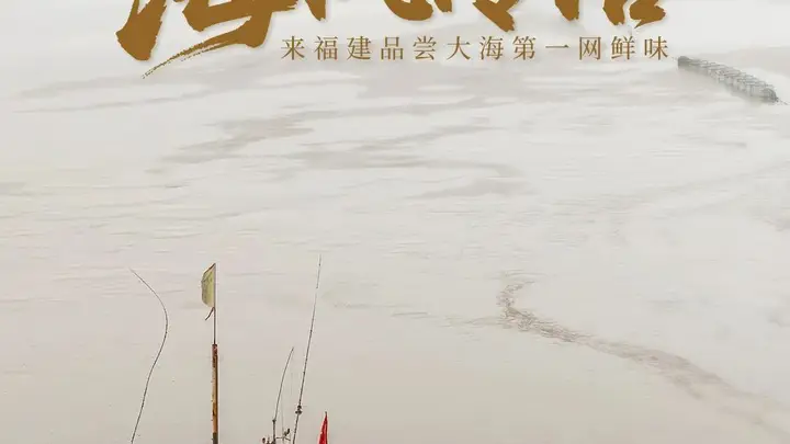 海风传信!来福建品尝大海第一网鲜味