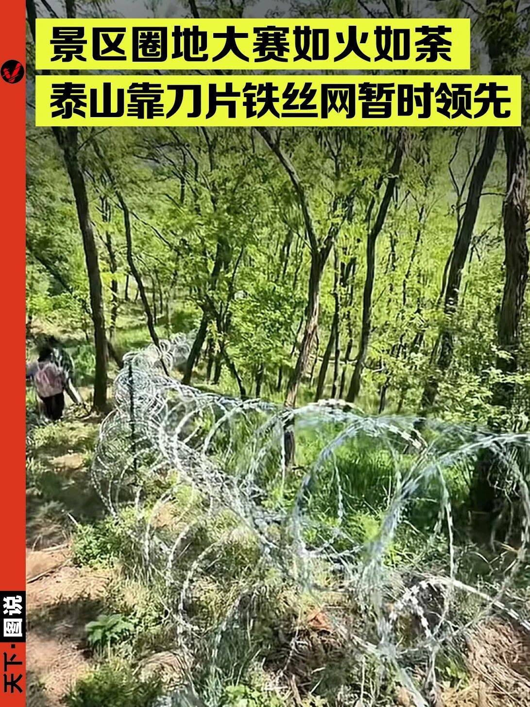 刀片铁丝网围泰山，错哪儿了？