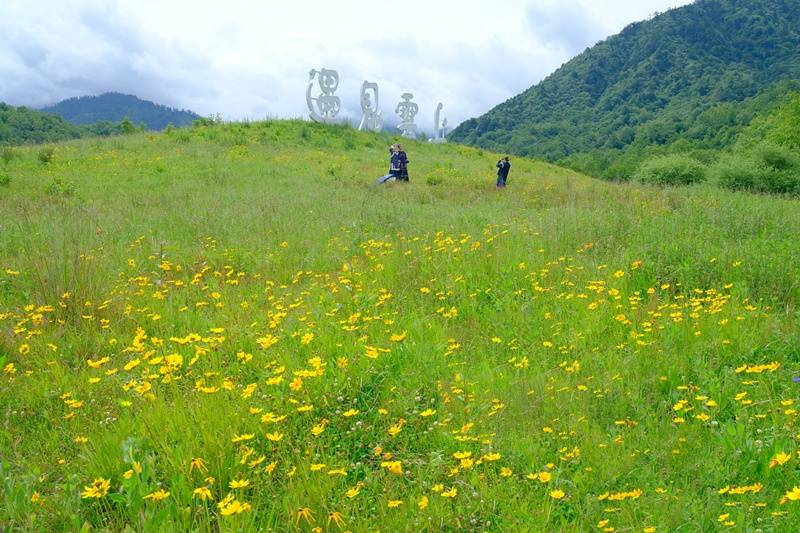 四川石棉：摄影基地百花开，避暑拍照两相宜！
