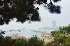 青岛凭什么稳居山东GDP榜首 海洋经济驱动成北方重要枢纽