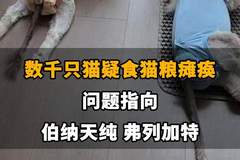 【数千只猫疑食猫粮瘫痪,问题指向伯纳天纯、弗列加特,伯纳天纯回应:已成立专项小组跟进调查】