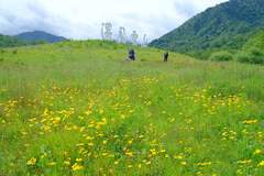 四川石棉:摄影基地百花开,避暑拍照两相宜!