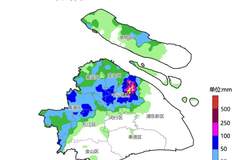 上海强降雨致复旦大学多处严重积水，校方：目前校园通行已恢复正常