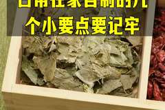 巴戟天泡酒方法分享在家自制的小要点要记牢