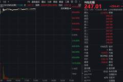 中一签赚12万!301583,开盘暴涨超1000%