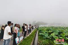 江西广昌“接天莲叶”图景吸引海内外游客