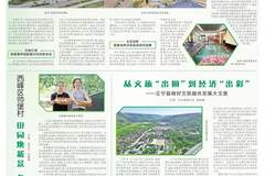 庆阳：深挖文旅资源 激活县域经济