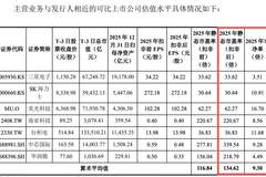 长鑫科技IPO倒计时,私募基金经理:3万亿元市值“比较合适”!何时纳入指数?科创50会比较快,沪深300等宽基会比较晚