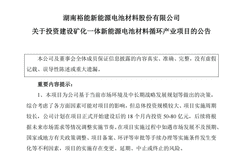 240亿元!磷酸铁锂龙头,大投资
