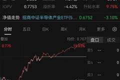 半导体大面积涨停，基金经理最新分析来了