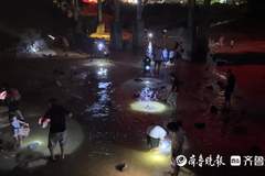日照山海天太公岛牡蛎公园：夏日夜晚赶海“寻宝”乐趣多