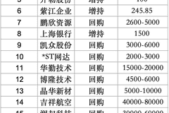 上海20家上市公司密集回购增持 超过30亿元