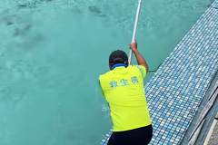 广东景区泳池惊现游蛇 目击者称户外常见 景区回应无毒蛇已处理