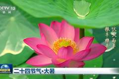 文化中国行大暑盛典 解锁盛夏诗意与丰收密码
